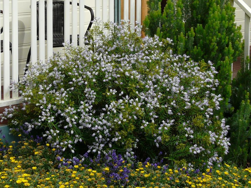 Avoca Cottages Victoria 외부 사진