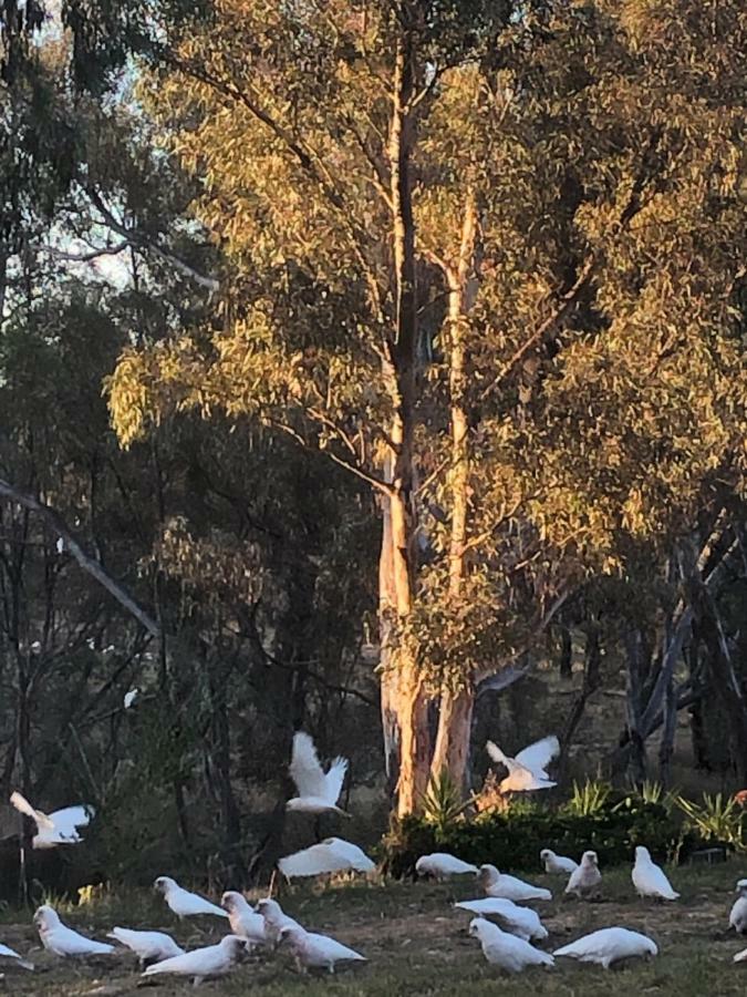Avoca Cottages Victoria 외부 사진